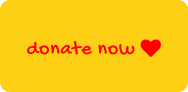 donate now 